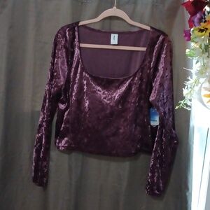 Abound top, crushed velvet in Plum, crop ped top. Size 2x